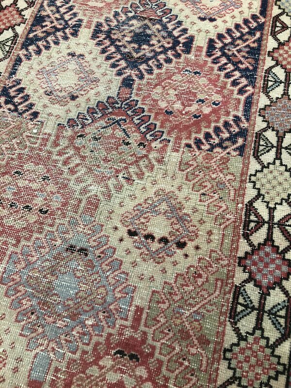 Hamadan / 25493 | WOVEN