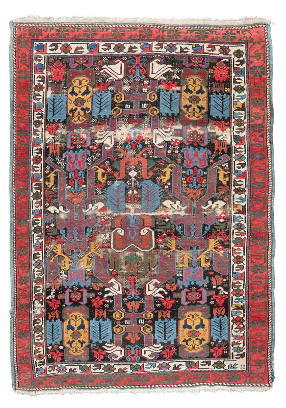 caucasian / 25779 | WOVEN