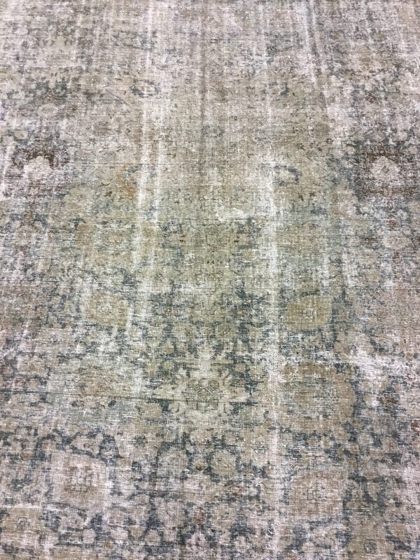 Tabriz / 29897 | WOVEN