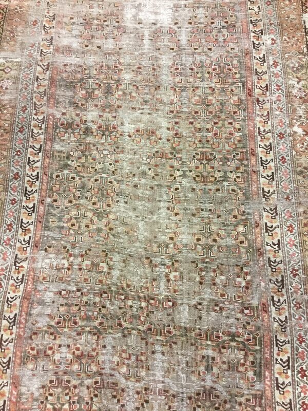 Kurd / 31378 | WOVEN