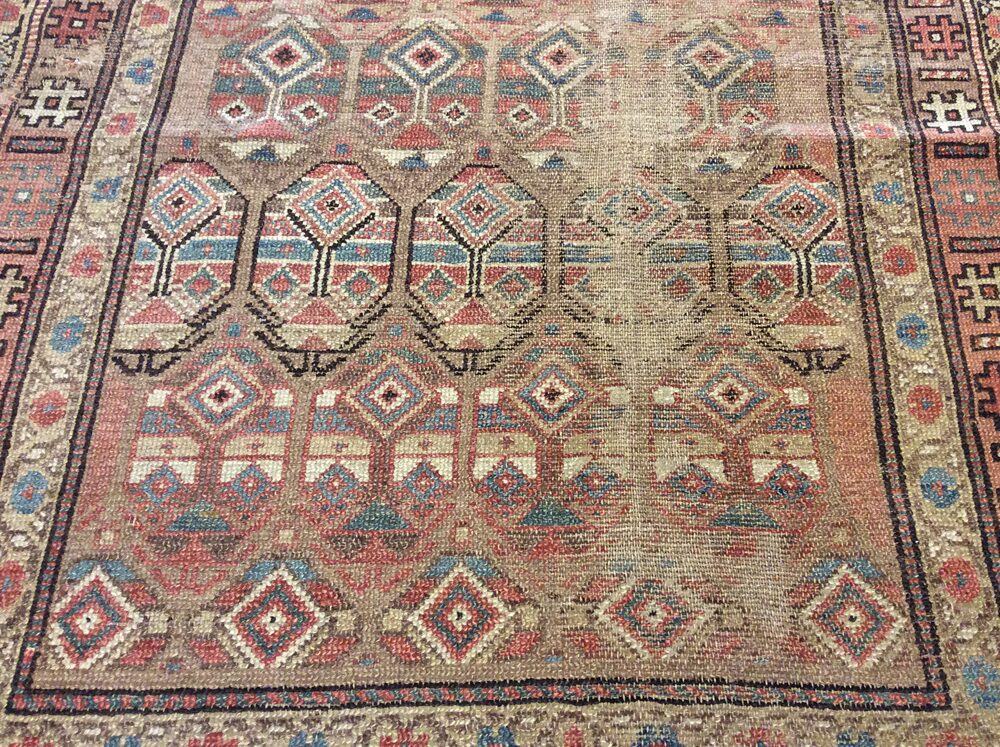 Caucasian / 18911 | WOVEN