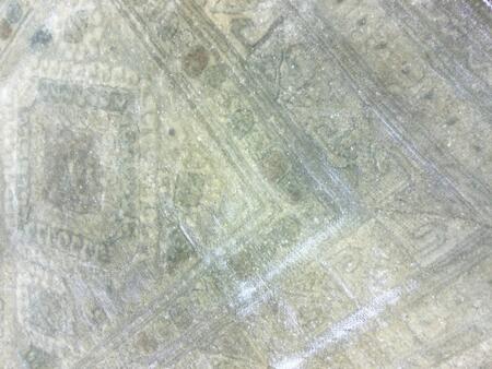 european / 11685 | WOVEN