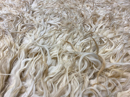 tulu shag / 14696 | WOVEN