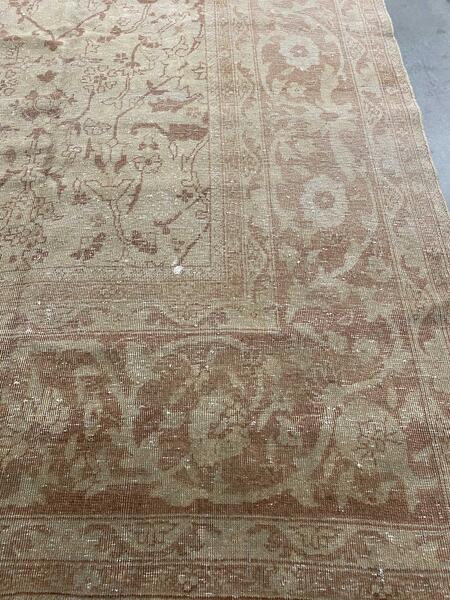 sivas / 16967 | WOVEN