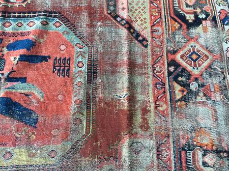 caucasian / 20141 | WOVEN
