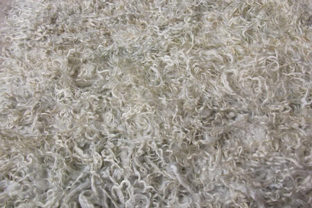 tulu shag- silver / 21191 | WOVEN