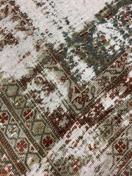 kurd / 26603 | WOVEN